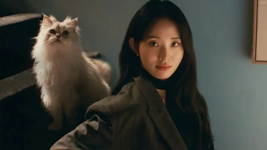  TVC ʱеӹ202511Ƶϼ