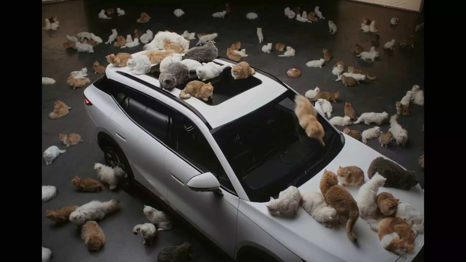 SHOTS 2026��4�µ�223�� CG zihecgŷ�����