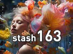 STASH 美国2024年1月163期 1080P VFX 电视包装、广