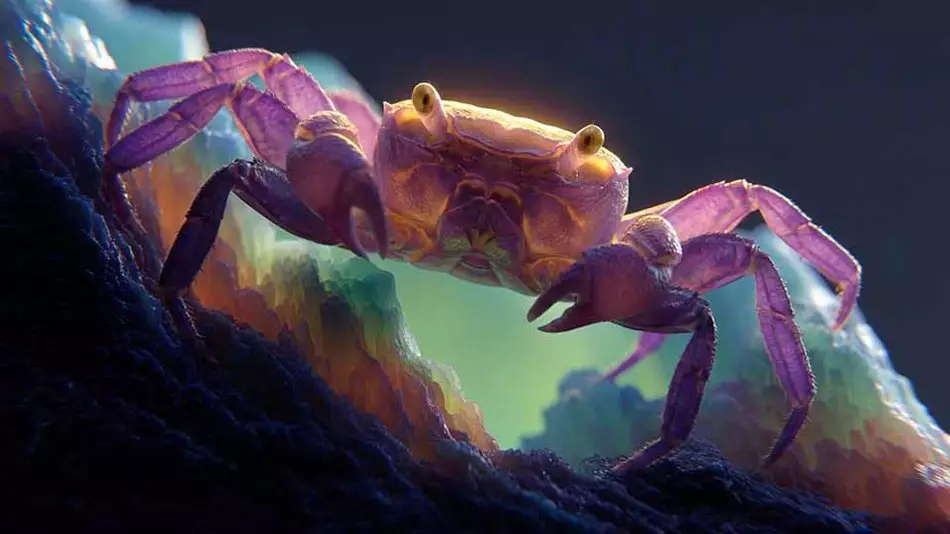 STASH ����2026��5��177�� 1080P VFX ���Ӱ�װ����洴�⡢����