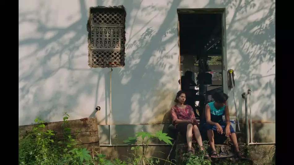 Vimeo STAFF PICKS�ٷ���֤�������Ƶ�ϼ�2026�������