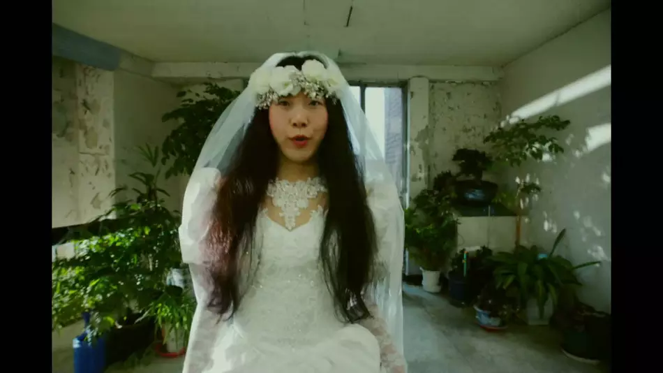 Vimeo STAFF PICKS�ٷ���֤�������Ƶ�ϼ�2026����ߵ�