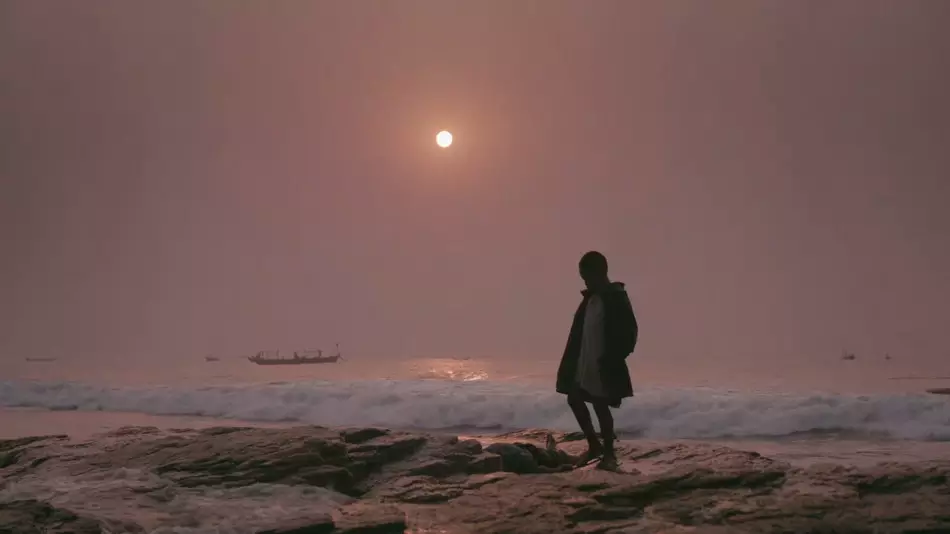 Vimeo STAFF PICKS�ٷ���֤�������Ƶ�ϼ�2026����ߵ�