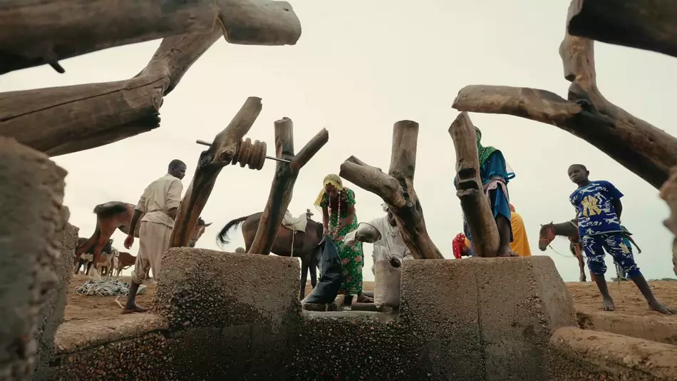 Vimeo STAFF PICKS�ٷ���֤�������Ƶ�ϼ�2026����ߵ�
