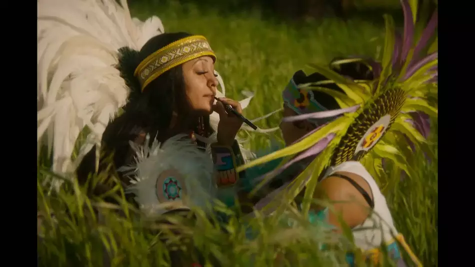 Vimeo STAFF PICKS�ٷ���֤�������Ƶ�ϼ�2026����ĵ�