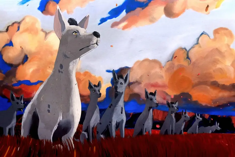 Vimeo STAFF PICKSٷ֤Ƶϼ2025ڰ˵