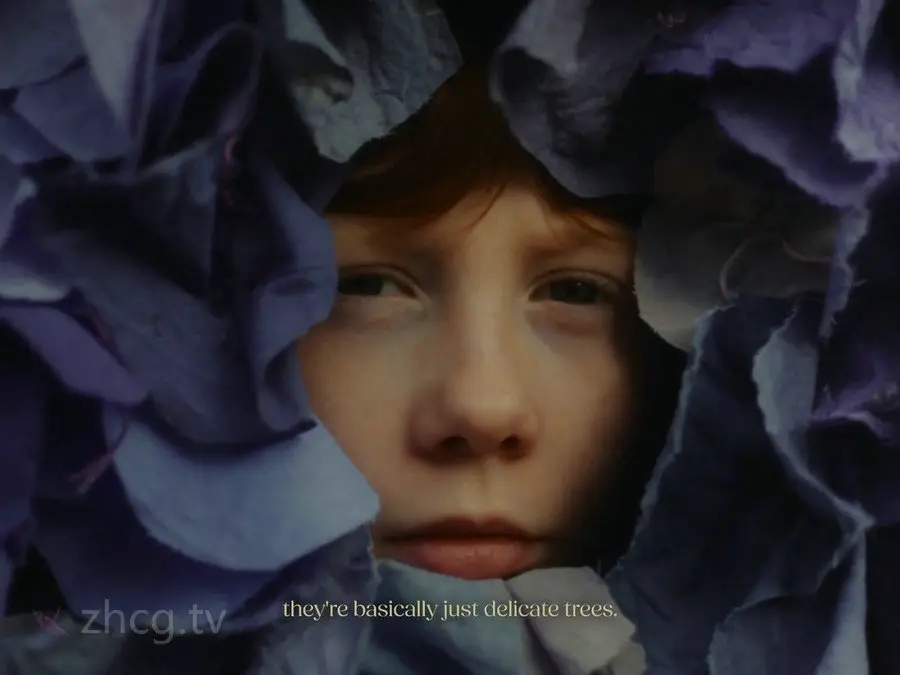 Vimeo STAFF PICKSٷ֤Ƶϼ2025