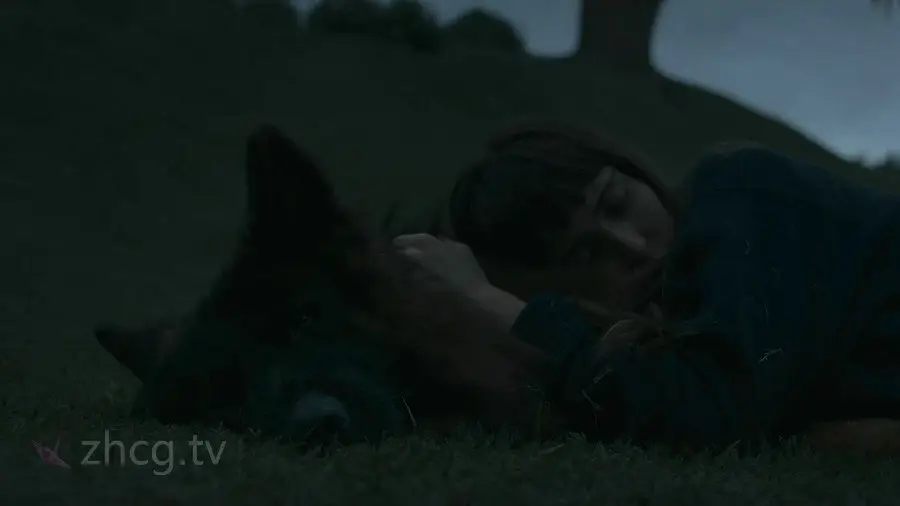 Vimeo STAFF PICKSٷ֤Ƶϼ2025嵯
