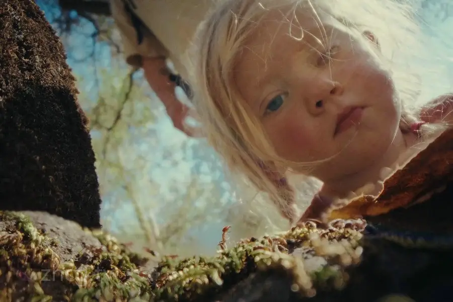 Vimeo STAFF PICKSٷ֤Ƶϼ2025嵯