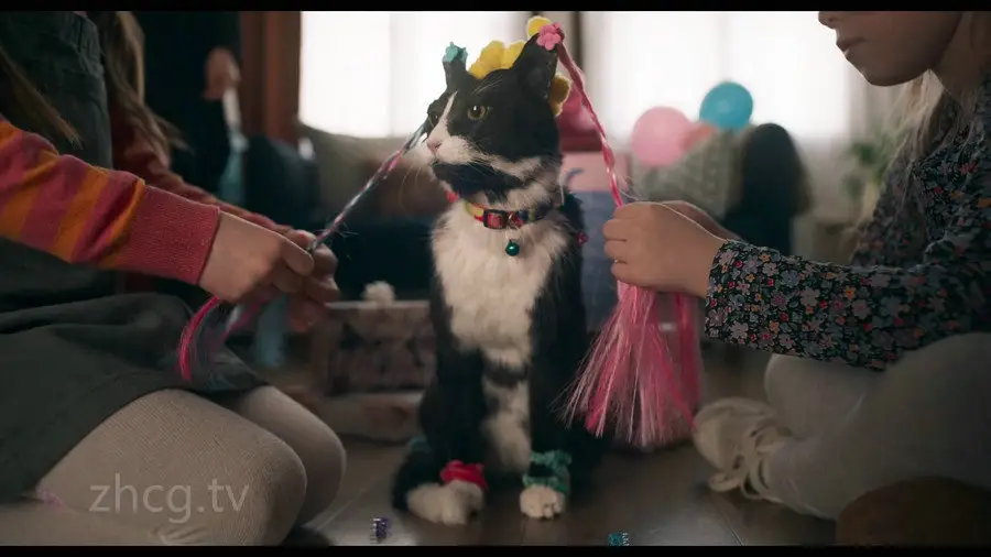Vimeo STAFF PICKSٷ֤Ƶϼ2025嵯