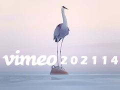 Vimeo STAFF PICKS官方认证创意等视频合集2021年第