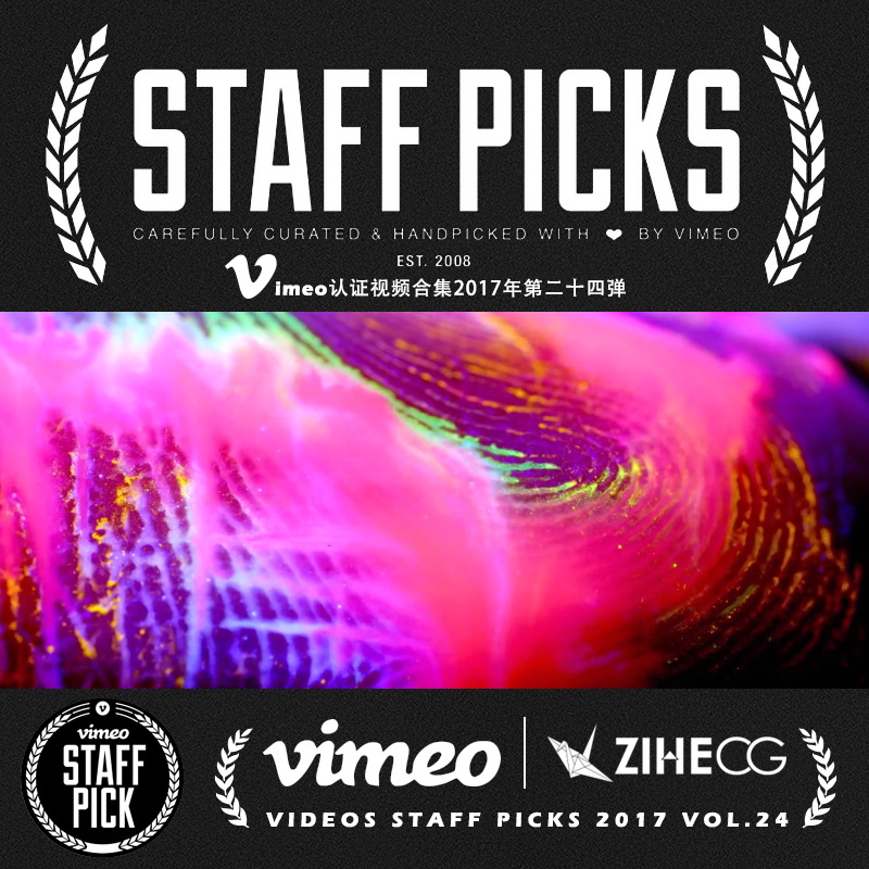 Vimeo STAFF PICKSٷ֤Ƶϼ2017ڶʮĵ